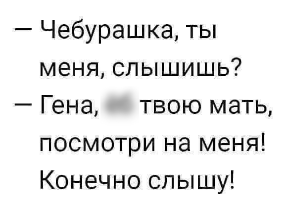 Чебурашка ты меня слышишь Гена твою мать посмотри на меня Конечно слышу