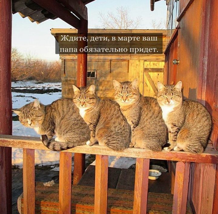Ждите дети в марте ваш и папа обязательно придет