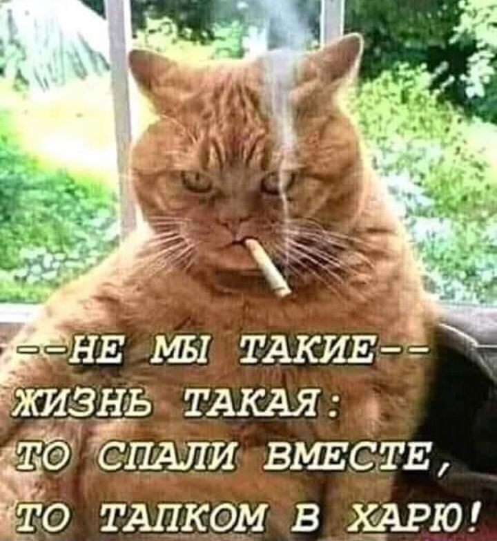 НЕ мы ТАКИЕ 3535 ТАКАЯ Ё спали вшгств т о ТАлкем в 10