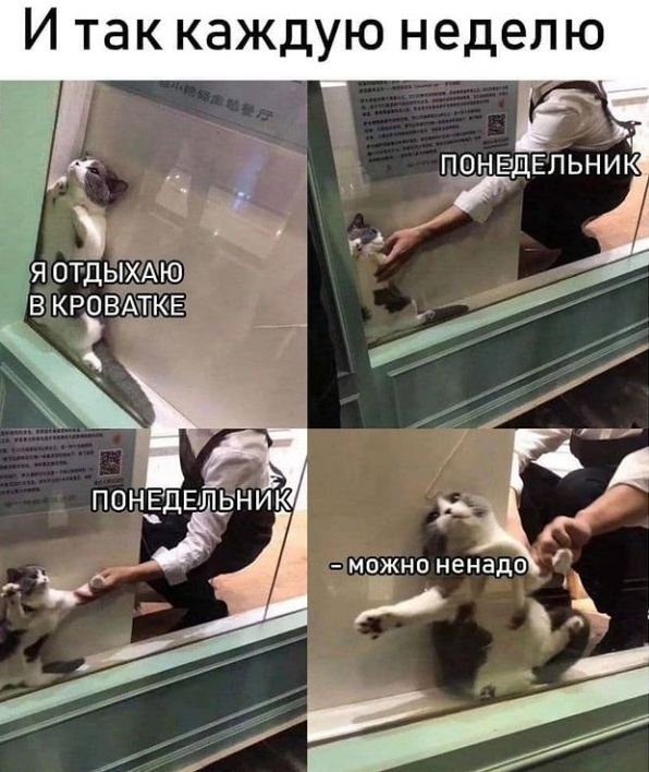 И ТЭК каждую неделю ПОНЕДЕЛЬНИК з г г я отдьъХАію вкровддтдкв _ г можно ненадо к
