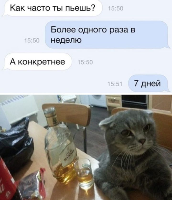 Как часто ты пьешь Более одного раза в неделю А конкретнее