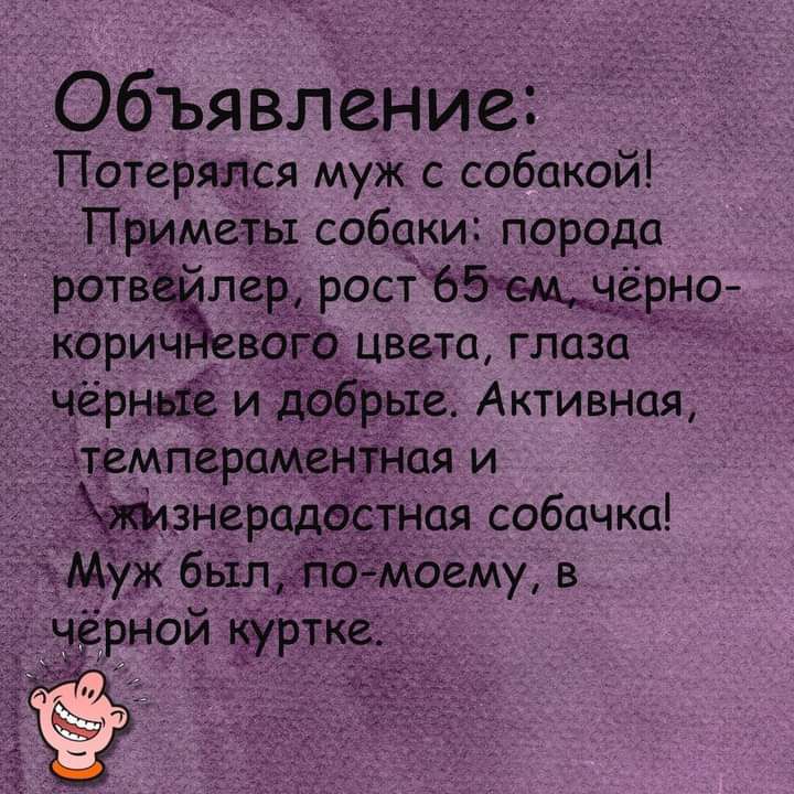 Объя вление Патеряъася муж с собакой ПРММеты собаки порода