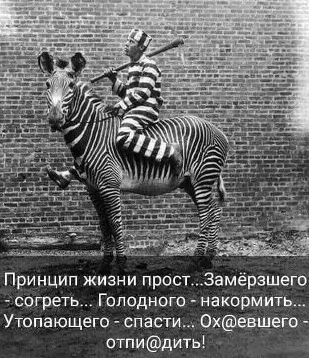 Принцип жизни прост3амёрзшего согреть Голодного накормить Утопающего спасти 0хевш__еГО отпидить