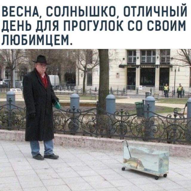ВЕСНА СОЛНЫШКО ОТЛИЧНЫЙ дЕНЬ ДЛЯ ПРОГУЛОК СО СВОИМ