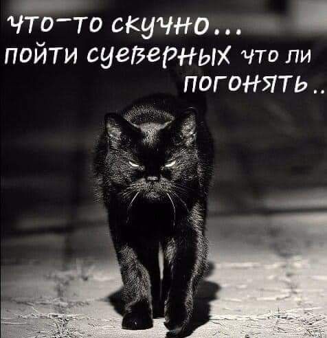 чтото скучно пойти суеверных что ли погонять