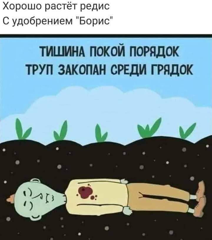 Хорошо растёт редис С удобрением Борис ТИШИНА покой порядок труп здкопдн среди грядок
