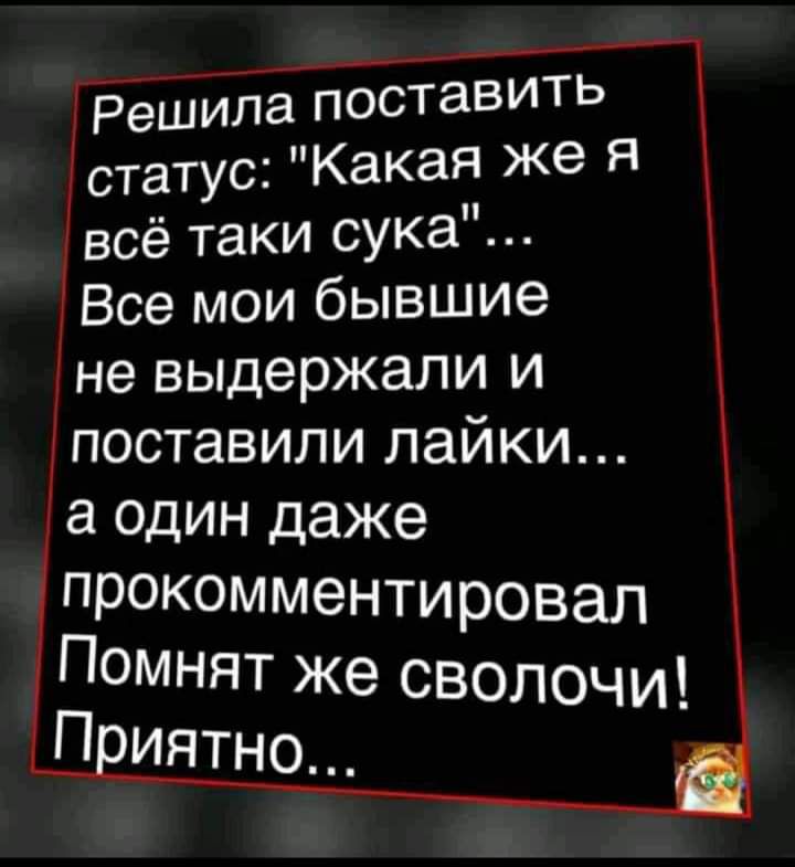 Решила поставитЬ статус Какая же Я всё таки сука Все мои бывшие не выдержали и поставили лайки один даже прокомментировал Помнят же сволочи П иятно