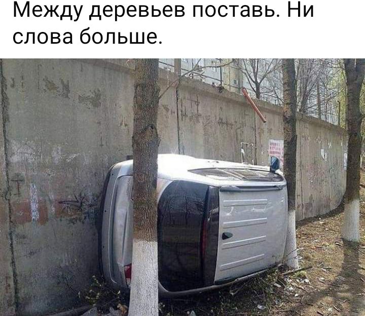 Между деревьев поставь Ни слова больше