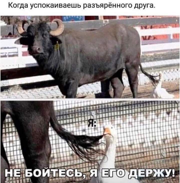 гда успокаиваешь разъярённого друга