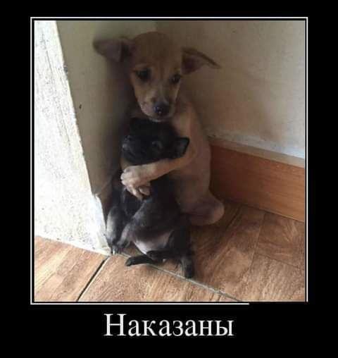 Наказаны