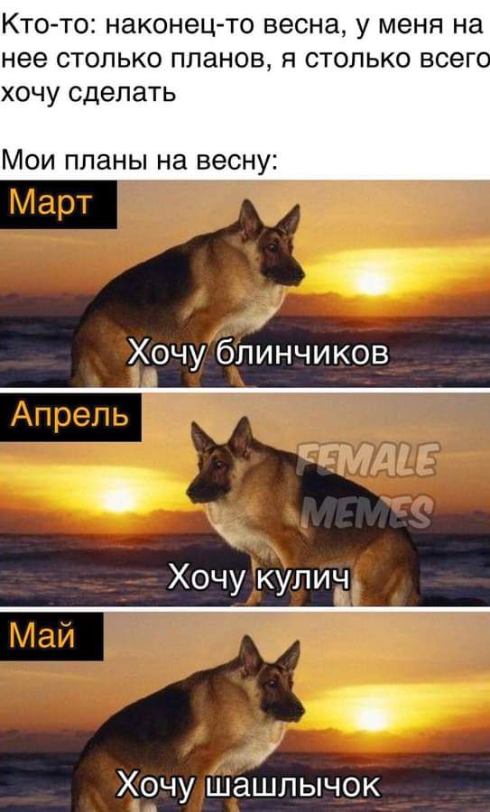 КТО ТО наконец то весна у МЕНЯ на нее СТОЛЬКО ППЭНОВ Я СТОЛЬКО ВСЕГО ХОЧУ сделать МОИ планы на весну Хочу блинчиков Хочу кулич Хочу шашлычок