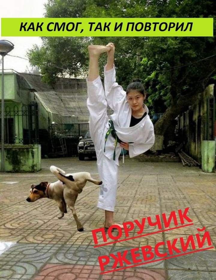 КАК СМОГ ТАК И ПОВТОРИЛ