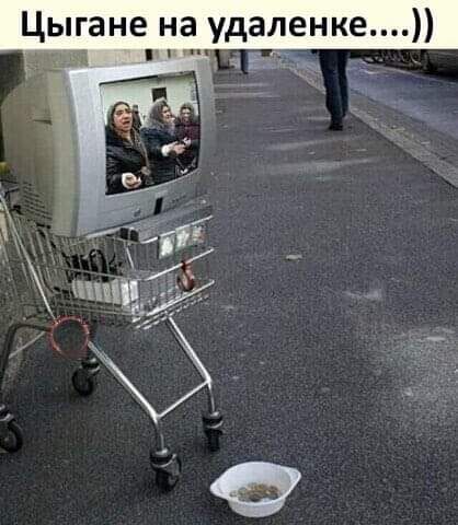 Цыгане на удаленке