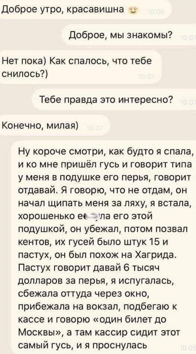 Доброе утро красавишна Доброе мы знакомы Нет пока Как спалось что тебе снилось Тебе правда это интересно Конечно милая Ну короче смотри как будто я спала и ко мне пришёл гусь и говорит типа у меня в подушке его перья говорит отдавай Я говорю что не отдам он начал щипать меня за ляху я встала хорошенько ее упа его этой подушкой он убежал потом позвал кентов их гусей было штук 15 и пастух он был пох