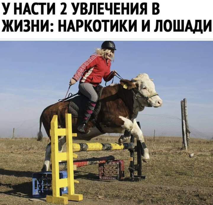 У НАСТИ 2 УВЛЕЧЕНИЯ В ЖИЗНИ НАРКОТИКИ И ЛОШАДИ