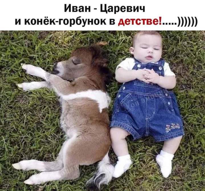 Иван Царевич к горбунок в детстве