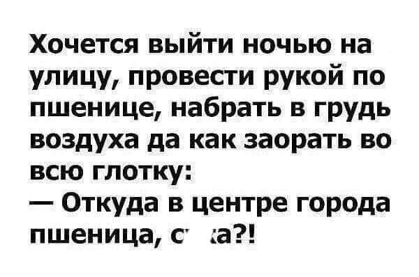 Хочется выйти ночью на улицу провести рукой по пшенице набрать в грудь воздуха да как заорать во всю глотку Откуда в центре города пшеница с а