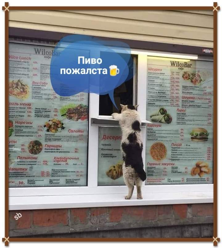 Пиво пожалста