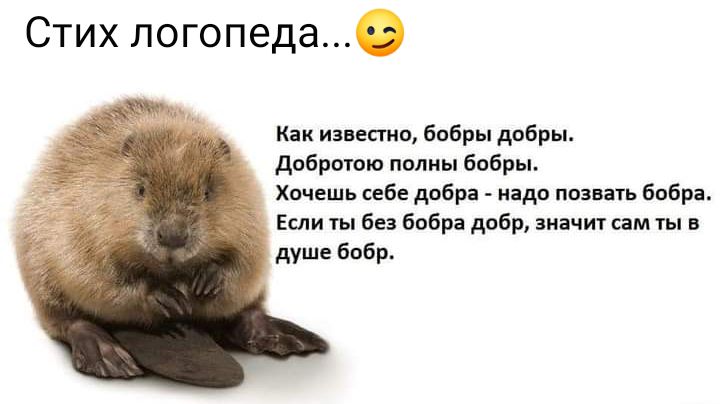 Стих логопеда Как извесгио бобры добры добротою полны бобры Хочешь себе добра надо позвать бобра Если ты без бобра добр значит сам ты в душе бобр