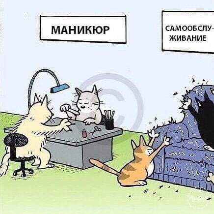 сдмоовспуг живАНИЕ