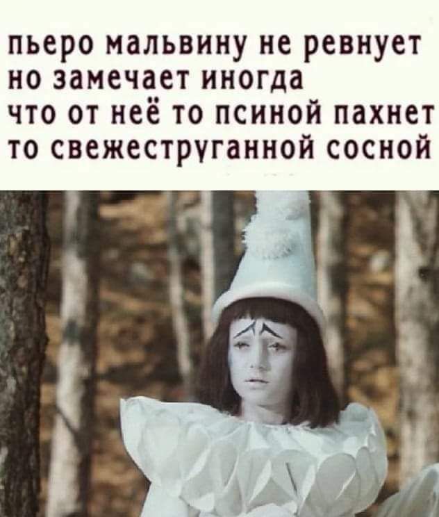 пьеро мальвину не ревнует но замечает иногда что от неё то псиной пахнет то свежеструганной сосной