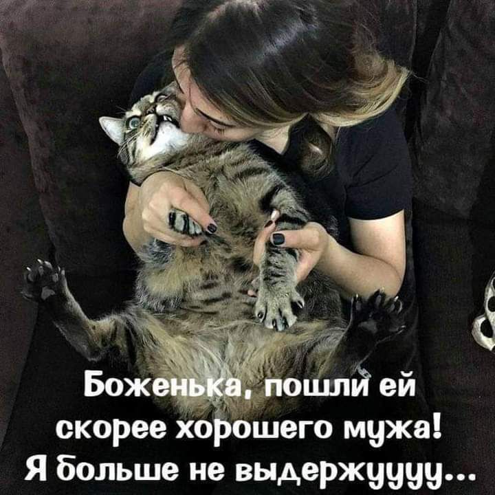 скорее хо бшего мужа Я больше не выдержуцуу