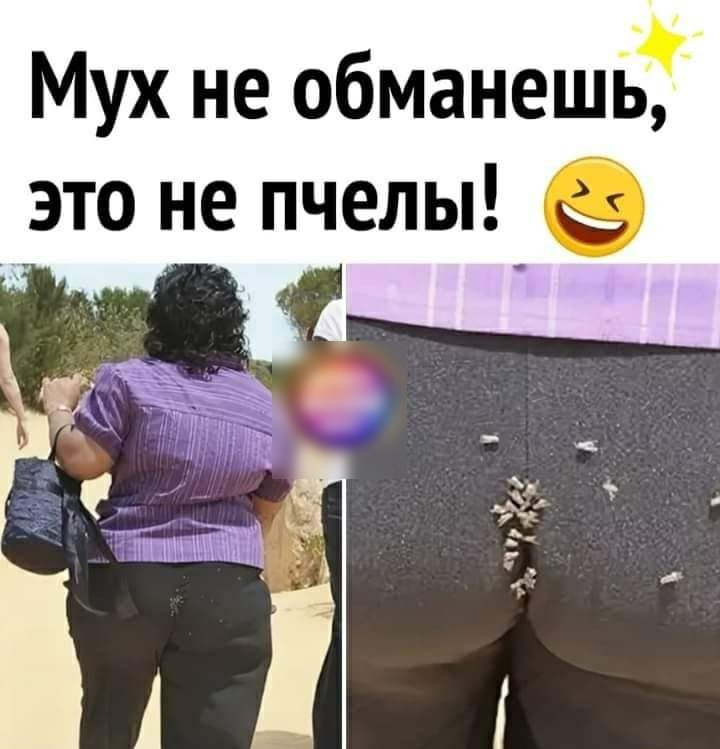 Мух не обманешь это не пчелы