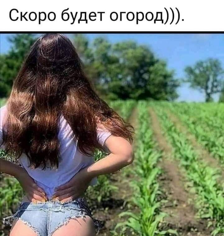 д 0 р 0 Г О Т е_ д у 6 0 р_ 0 К С