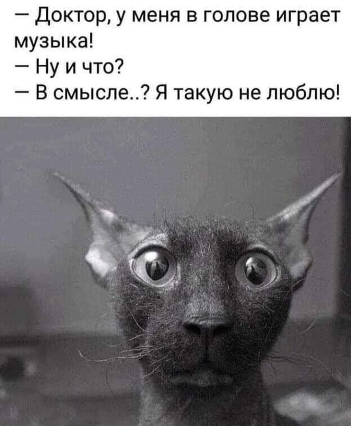Доктор у меня в голове играет музыка Ну и что В смысле Я такую не люблю
