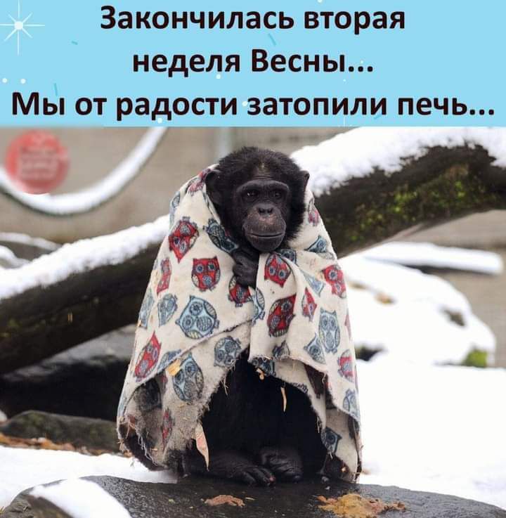 Закончилачь вторая неделя Весны Мы от радости затопили печь