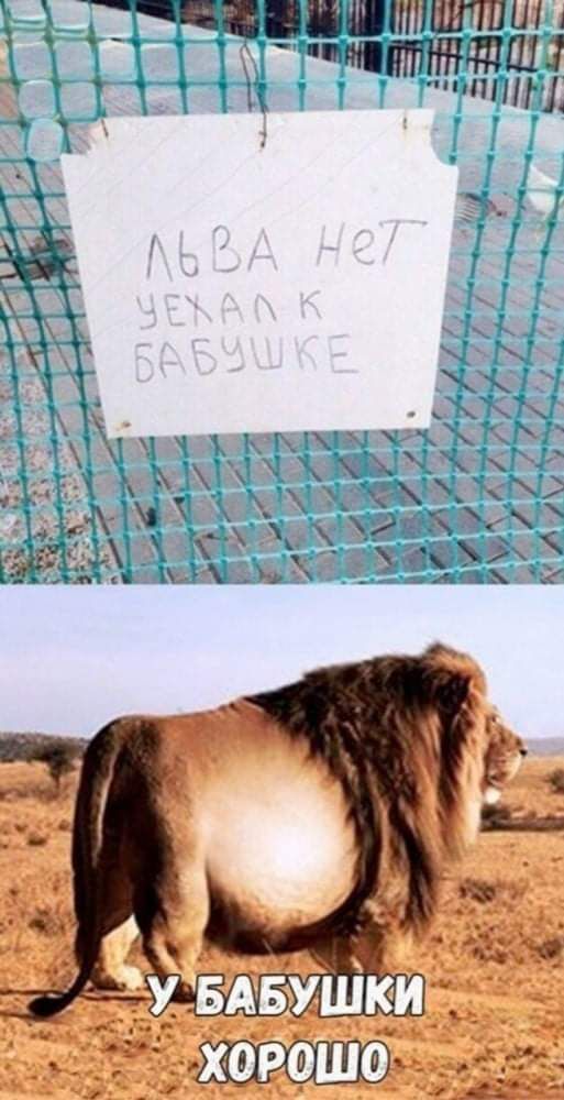 ПШПШТШШ 4 ЧШИШВШЩШ _і 5