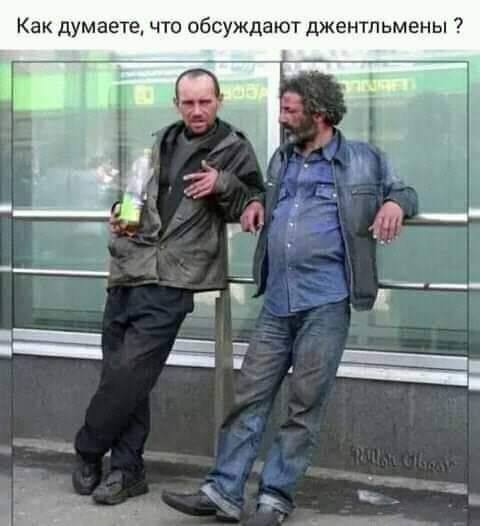 Как думаете что обсуждают джентльмены