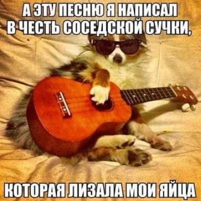 тжпшшшпшішп