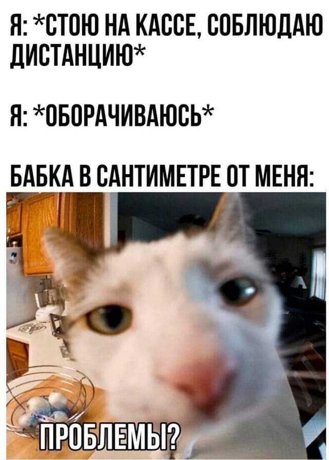 Я СТПЮ НА КАССЕ СПБЛЮДАЮ ЛИСТАНЦИЮ Я ПБПРАЧИВАЮСЬ
