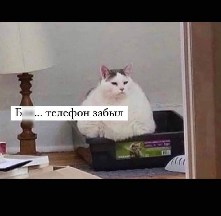 й _ тслефоп забыл 1