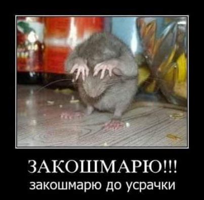 ЗАКОШМАРЮ ЗЗКОШМЗРЮ до УСРЭЧКИ