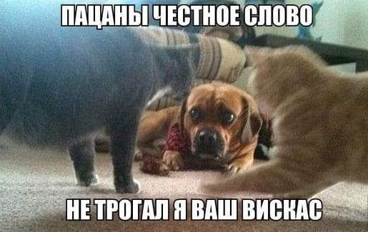 дт к ВПШ ВАШ Шдм