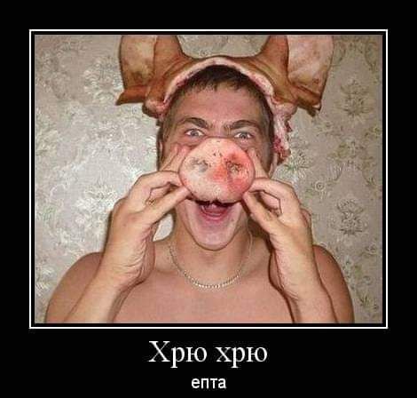 Хрю хрю епта