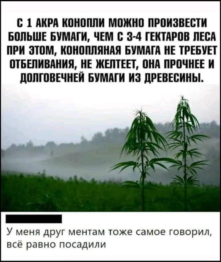 с 1 АИРА ИПНПППИ МШИНП ПРПИЗВЕСТИ БППЬШЕ БУМАГИ ЧЕМ 3 4 ГЕИТАРПВ ЛЕСА ПРИ ЗТПМ ИВИППЛЯИАЯ БУМАГА НЕ ТРЕБУЕТ ПТБЕЛИВАНИЯ ИЕ ЖЕЛТЕЕГ ВНА ПРПЧИЕЕ И ПППГПВЕЧНЕИ БУМАГИ ИЗ дРЕВЕВИНЫ У меня друг ментам тоже самое говорил всё равно посадили