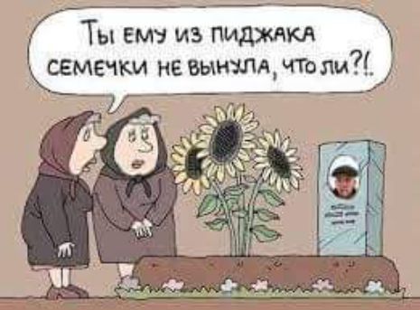 Ты вмз из пиджакв _ семечки не мандатом