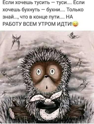 Если хочешь тусить туси Если хочешь бухнуть бухни Только знай что в конце пути НА РАБОТУ ВСЕМ УТРОМ ИДТИ _
