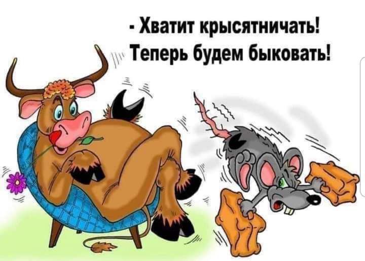 Хватит крысятничать Теперь будем быковать