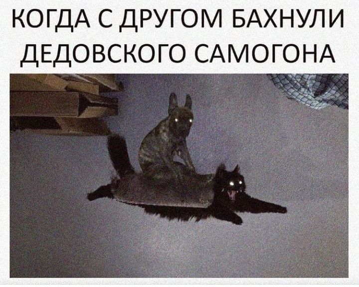 КОГДА с другом БАХНУЛИ дЕдовского САМОГОНА