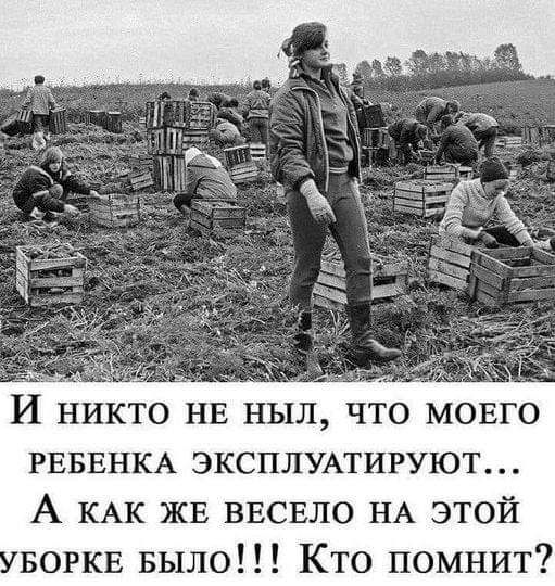 И никто НЕ ныл что мовго РЕБЕНКА ЭКСПЛУАТИРУЮТ А КАК ЖЕ ВЕСЕЛО НА этой БОРКЕ Было Кто помнит