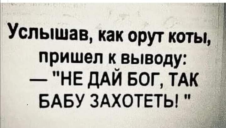 Р Услышав как орут коты пришел к выводу НЕ дАЙ БОГ ТАК БАБУ ЗАХОТЕТЫ