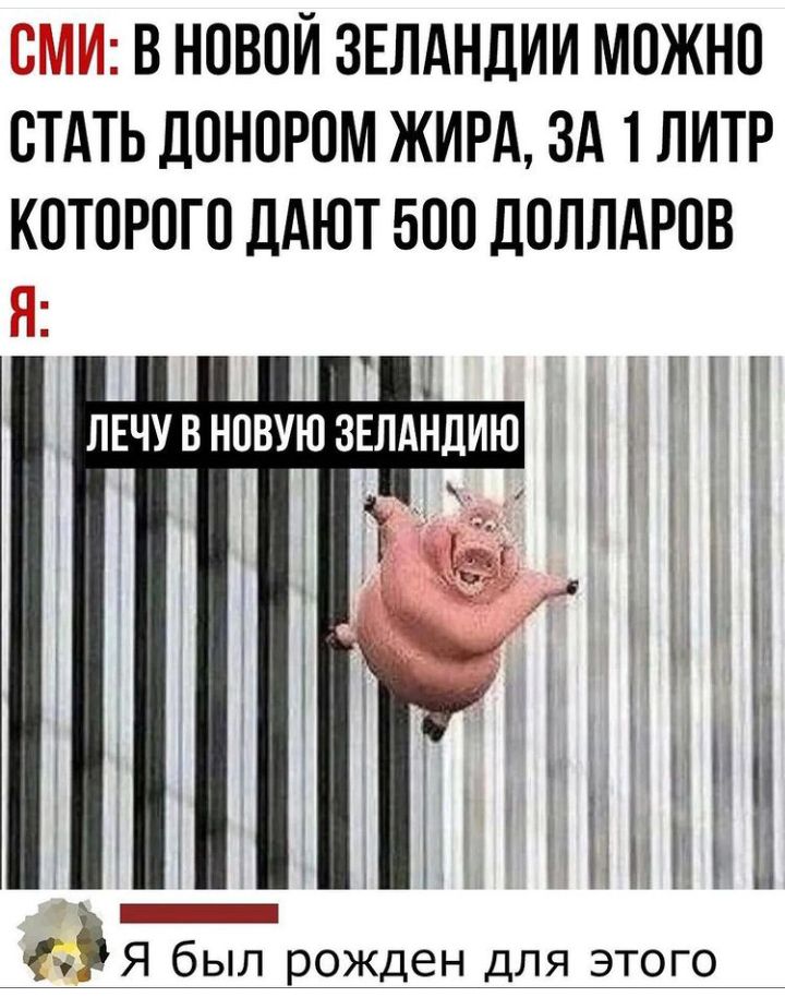 ж в новой ЗЕЛАНДИИ можно стдть донором жирд зд 1 литр которого ддют 500 доллдров ЛЕЧУВНОВУЮ ЗЕЛАНДИЮ і Я был рожден для этого