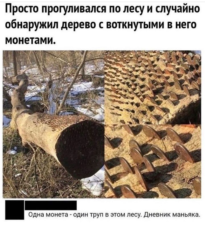 Просто прогуливался по лесу и случайно обнаружил дерево с воткнутыми в него монетами Одна монета ОДИН труп В ЭТОМ ЛЕСУ ДНЕВНИК маньякаа