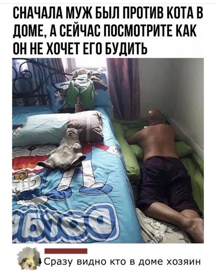 СНАЧАЛА МУЖ БЫЛ ПРОТИВ КОТА В ДОМЕ А ОЕИЧАО ПОСМОТРИТЕ КАК ОН НЕ ХОЧЕТ ЕГО БУЛИТЬ А _ Сразу видно кто в доме хозяин
