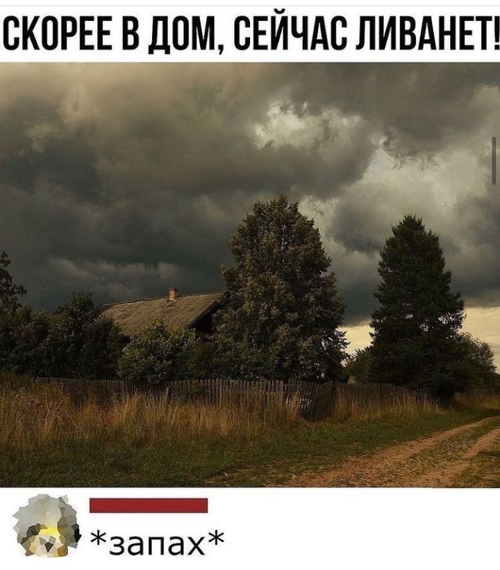 СКОРЕЕ В ДСМ СЕЙЧАС ЛИВАНЕТ ч запах