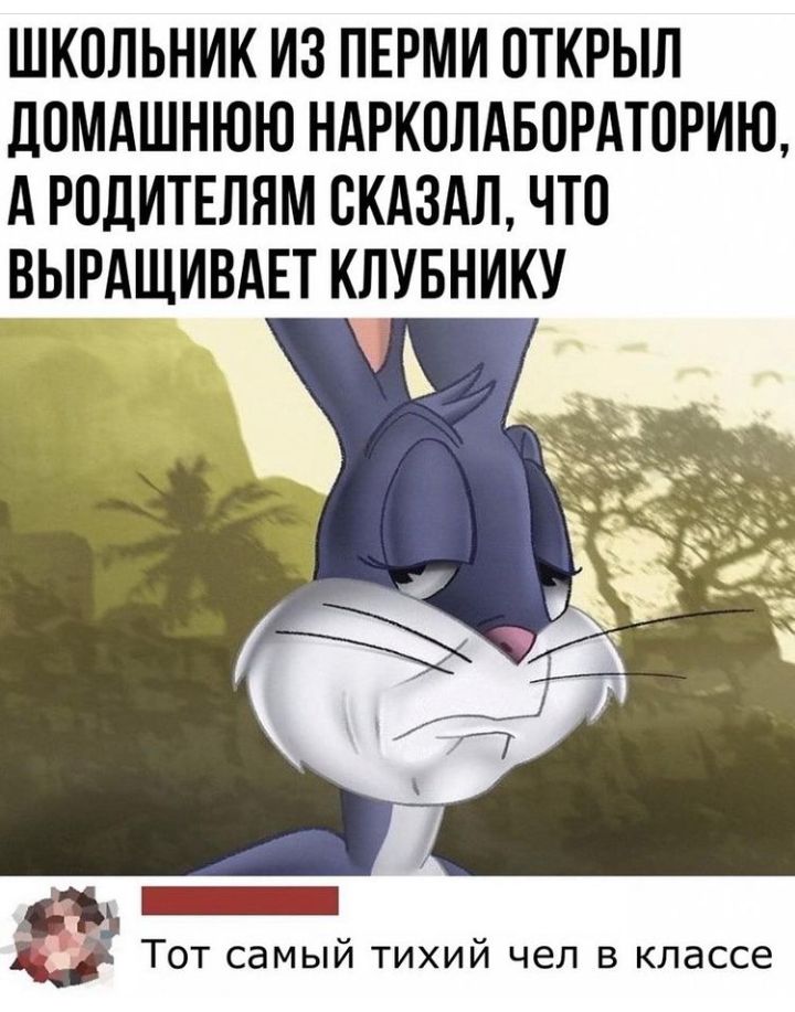 ШКОЛЬНИК ИЗ ПЕРМИ ОТКРЫЛ ДПМАШНЮЮ НАРКПЛАБОРАТОРИЮ А РОДИТЕЛЯМ СКАЗАЛ ЧТО ВЫРАЩИВАЕТ КЛУБНИКУ З Тот самый тихий чел в классе